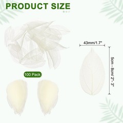 100Pcs White Skeleton Leaves 2″- 3″ Rubber Tree Scrapbooking