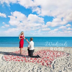 (Pre-separated, Scented) Artificial Silk Rose Petals for Romantic Valentines Day