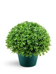 National Tree Company Artificial Shrub | Includes Pot Base | 13 inches, Green
