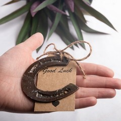 10/20/40 pcs Lucky Horseshoe Mini Decor Wedding Favors for Guests Vintage Metal