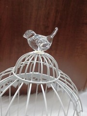 Bird Cage Wishing Well Alternative For Wedding Money Gift Round Metal Birdcage