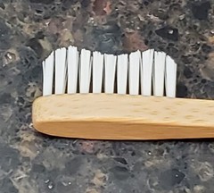 Wedding Bamboo Mr. + Mrs. Toothbrushes & Holders