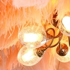 Peach Blush Pink 12 Pieces Ostrich Feather 12-14 inches Dozen Wedding Centerpiec