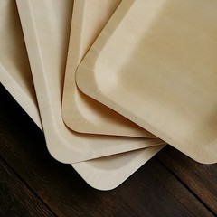 25 pcs Natural BIRCH WOODEN 8″ x 5″ Rectangle PLATES DISPOSABLE TABLEWARE SALE