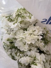 Artificial Hydrangea Wedding Garland White/Green 18ft x 18 in
