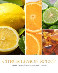 Aoovoo Citrus Lemon Odor Eliminating Highly – 95 Of Pet Smoke Food