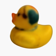 Mini Rubber Ducky Hipster Couple Pair Duckies Lot 2
