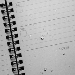 Rite in the Rain All-Weather Weekly Planner, Undated, Side-Spiral 4-5/8″ x 7″…
