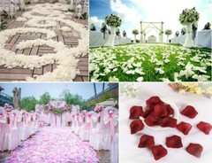 1000 × Silk Rose Petals Romantic Decor Fake Flowers Confetti Wedding Engagement