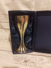 THINGS REMEMBERED SILVER PLATED WEDDING TOASTING GOBLETS ORIGINAL VELVET CASE