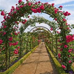 Metal Garden Arch w/ Ground Spikes Climbing Plant Support Trellis Wedding Decor