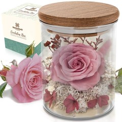 Havenstock Pink Rose in a Glass Dome – Premium Real Roses That Last