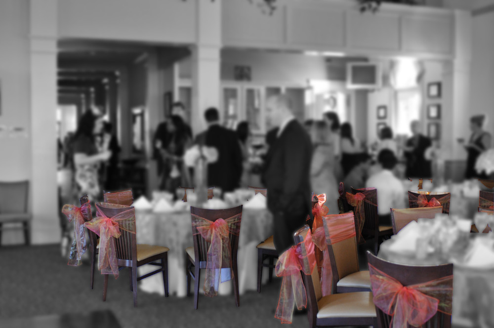 Wedding Venue Chair Sashes