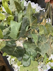 15 lb Lot Artificial Wedding Flowers Greenery Ivy Orchids Hydrangea Decor Bulk