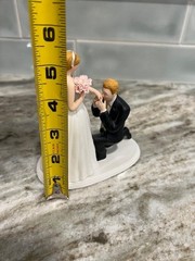 Weddingstar Wedding Cake Topper Bride And Groom A Cinderella Moment