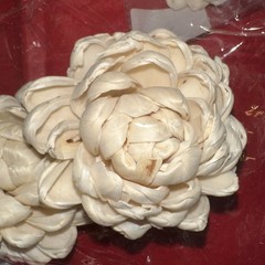 Sola Wood Flowers By Blooming Autumn NIP 20 Cream Flowers (10 Packs)