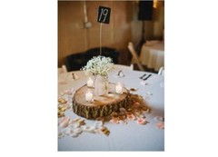 900pcs Silk Rose Petals Gold Yarn Flower Petals for Wedding FlowerTeal Aqua Mint