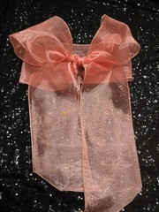 20 pcs Sheer Chair Decor Bow Sash 104″x5″ Coral #3 Wedding Party Banquet Organza
