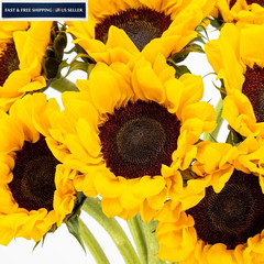 Benchmark Bouquets – Sunflowers – Fresh Flowers for Delivery – Mothers Yellow