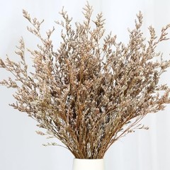 Dried Flowers Bouquet, Dry Caspia Flower Bundle, Floral Lavender, Babys Natural