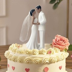 Wedding Bride and Groom Cake Topper Romantic Couple Figurine Cake Plastic Topper