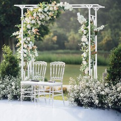Metal Arbor Wedding Arch Garden Trellis Pergola Arbor for Climbing Plant Flower