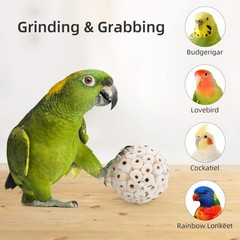 andwe Sola Bird Toy Balls – Natural Soft Chew & Shredding Foraging for Cockatiel