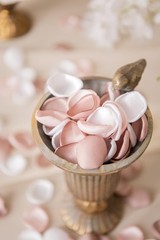Ling’s moment Silk Rose Petals, Blush White Dusty Rose, 200pcs | Wedding Aisl…