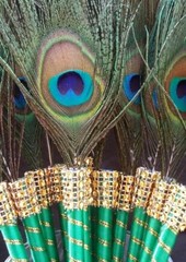 12 Peacock Feather Pen Favors ,Weddings,Sweet16,Quinceañera,Recuerdos/Bautizo