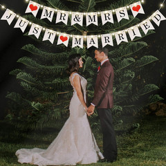 Mr and Mrs Just Married Banner, Wedding Bunting Banner with LED Fairy String Lig