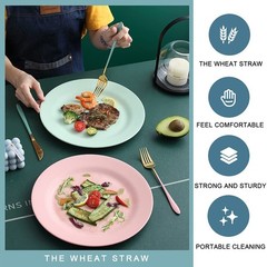NA 10Inch 11Inch Dinner Plates Set Of 10 Reusable Wheat Straw Dessert Dishes