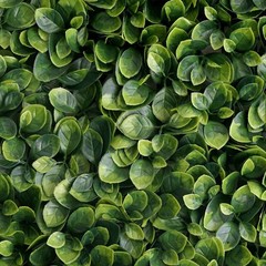 22 sq ft Green Large Boxwood Leaves 11UV Protected Wall Backdrop Panels Wedding