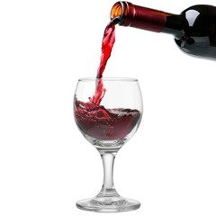 Wine Glasses Set of 10 oz Premium Clear Glass Goblets – Elegant Glassware for 6