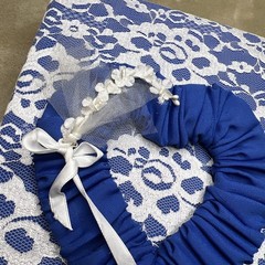 Vtg Blue White Floral Lace Photo Album 3-Ring Binder Grannycore Cottage-core