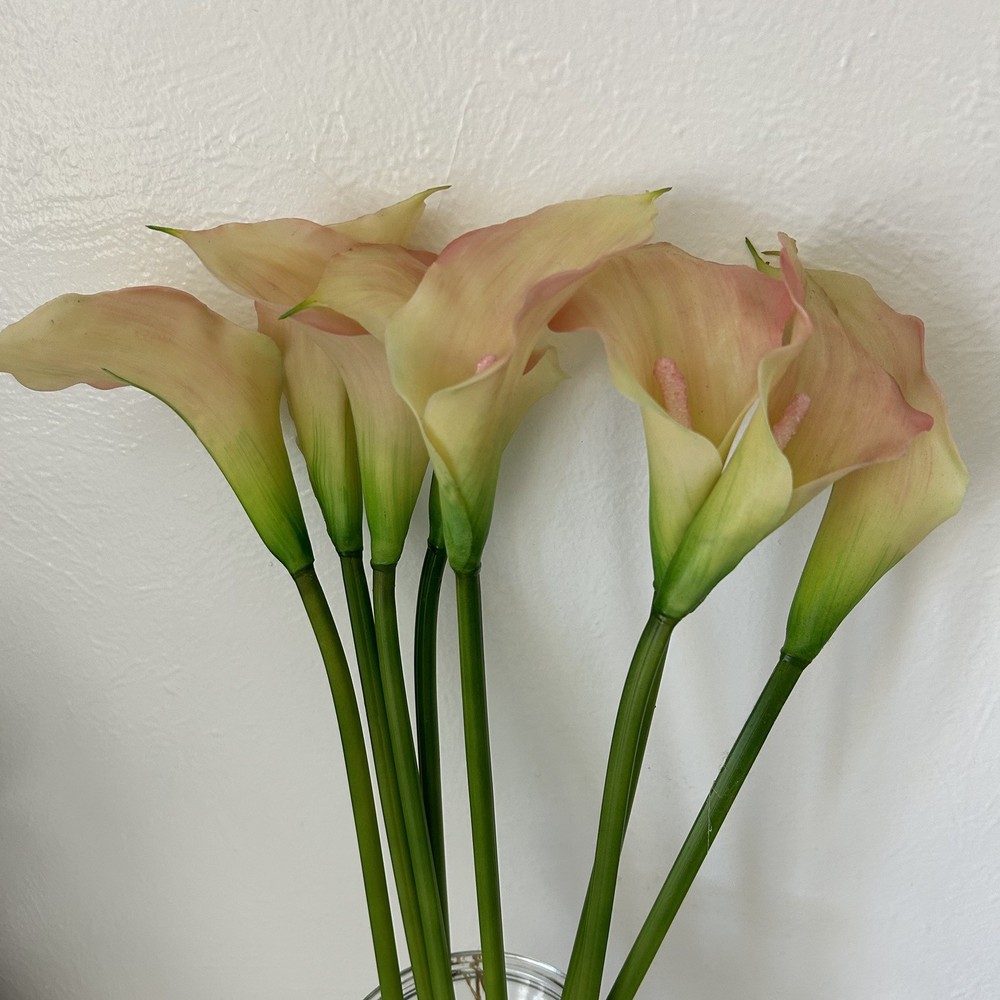 EUC REAL TOUCH CREAM/PINK CALLA LILY FLOWER – 8 STEMS 19” Tall