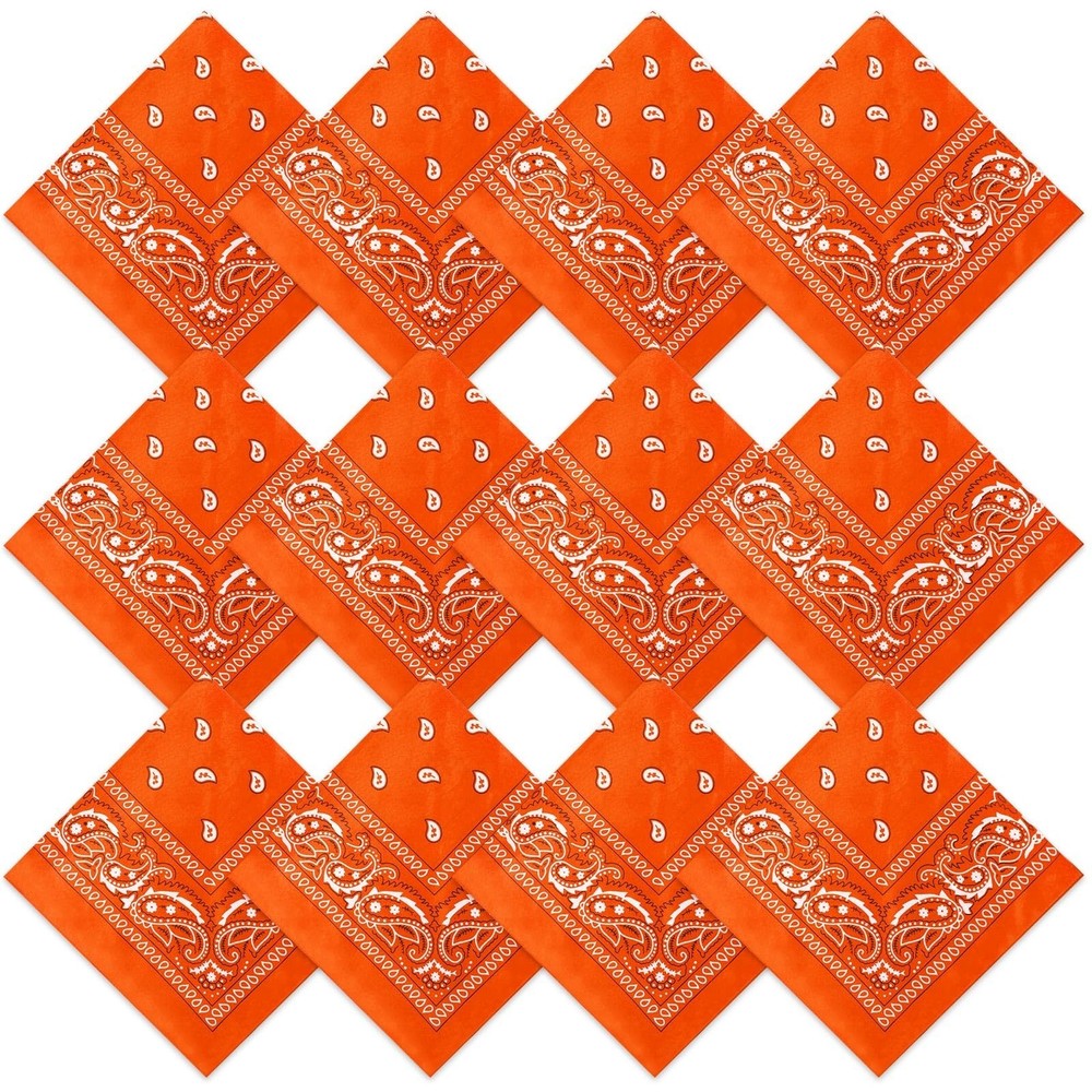 Suhine 12 Pcs Bandanas Bulk for Women Men 22 x 22 Inch Paisley Headband Cowbo…