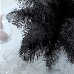 12 pcs 13-15″ long Black Genuine Ostrich FEATHERS Wedding Party Centerpieces
