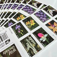 2020 Wild Orchids Booklet Forever Stamps MNH Sc# 5444-5454 – 100 pcs total