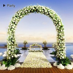 Metal Garden Arch,7.8 Feet High x 5.5 Feet Wide Sturdy Metal Arbor with Sharp…