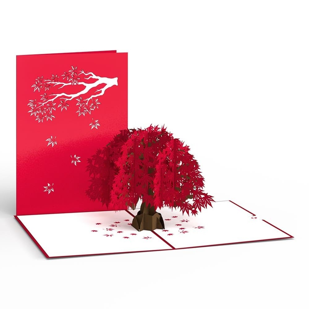 Lovepop Everyday Pop-Up Card for Her and Him- 3D Thinking of You Greeting Car…