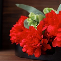 12 Chrysanthemum Mums Bushes Wedding Decoration Centerpieces Bouquet SALE