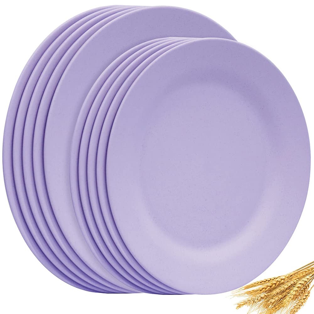 NA 10Inch 11Inch Dinner Plates Set Of 10 Reusable Wheat Straw Dessert Dishes