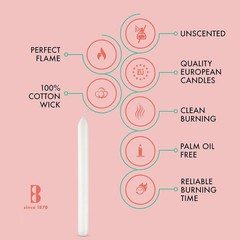 BOLSIUS 10 Count Household White Dinner Candles – 9 Inches – 10 Count,