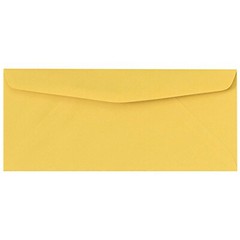 Goldenrod Pastel #9 Regular Envelopes, 3 7/8 x 8 7/8, 24w(90gsm), 50 per Pack
