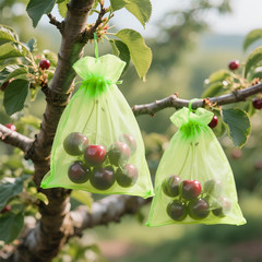 25PCS Drawsring Organza Bags 5×7 inches – Light Green Organza Gift Bag, Sheer Me