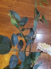 Designer Trellis Ivory/Pale Pink Rose Floral Greenery Garland Wedding Decor 5 Ft