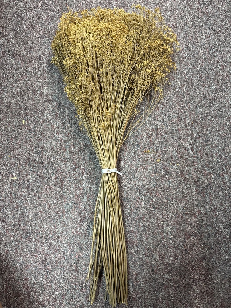 Dried Babys Breath (Dried Gypsophila) Natural Brown Color