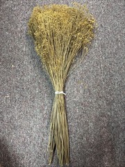 Dried Babys Breath (Dried Gypsophila) Natural Brown Color