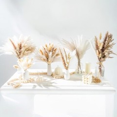 NEW Anthropologie 96 Piece Dried Nuetral Pampas Grass Boho Decor Flowers Reeds