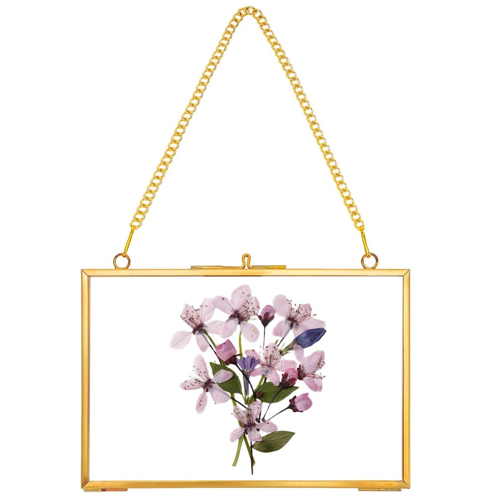 REDHUGO Hanging Pressed Flower Frame Handmade, Double Glass Picture Frame Flo…